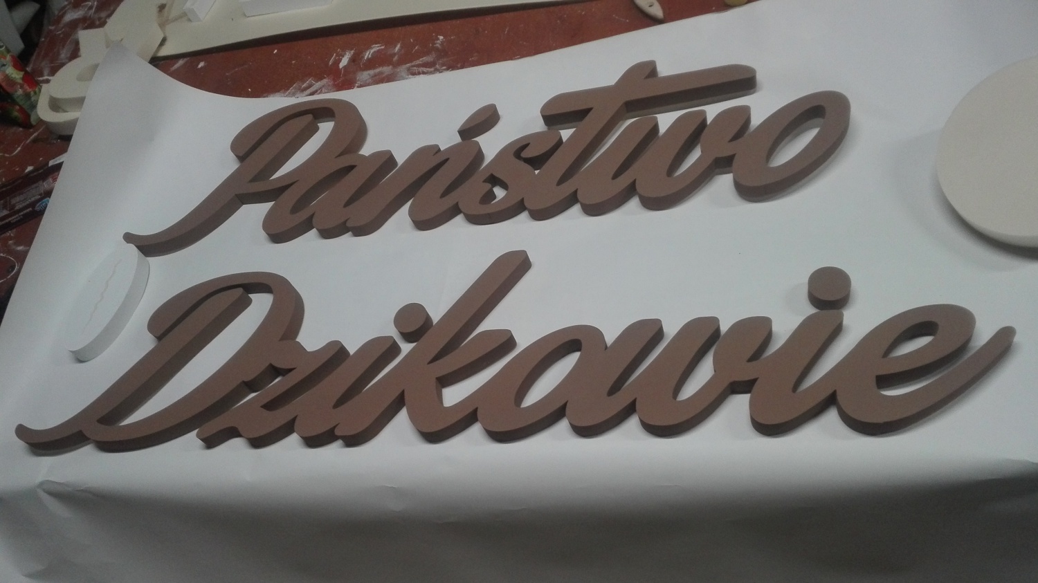 LOGOTYPY ZE STYRODURU - obrazek 16